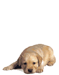 sticker_4702479_34046715