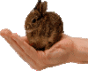sticker_27685246_47305727
