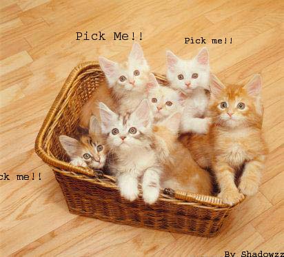 sticker_36969329_15