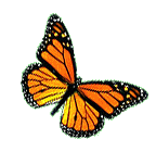 sticker_27288588_47587598