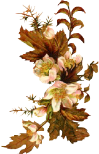 sticker_12304237_46786739