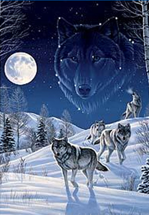 sticker_12417504_19255497