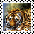 sticker_14664230_25090115