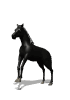 sticker_16421175_38793090