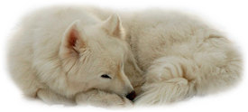 sticker_13361594_47534514
