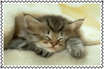 sticker_10618457_40306471