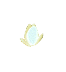 sticker_1523823_2090488