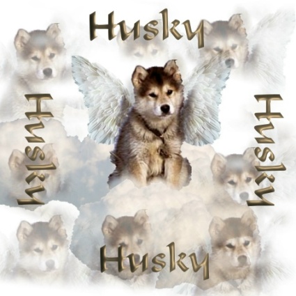 sticker_29188950_39955699