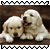 sticker_32065692_44539462