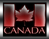 Canada Day Shorts XXL