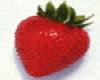 Yummy Strawberry!
