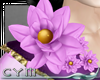 Cym Lotus Flower R