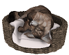 Wicker Forest Cat BED