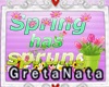 GT! Spring Enhancer