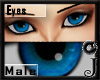 *iJ* Owl|Blue|Eyes