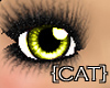 {CAT}Lemon Cute Eyes