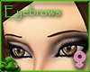 Thin Chocolate Eyebrows
