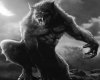 Black and white Lycan
