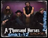 A Thousand horses