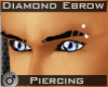 Ebrow piercing L