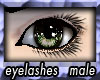 n: eyelashes male
