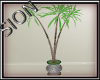 SIO- Potted Palm Tree