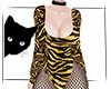 P4--Tiger Costume
