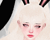 🍒 Bunny Ears