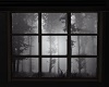 KC~Fog  Woods Window