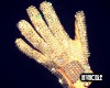MJ Gold Glove!