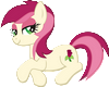 (SC)rose pony