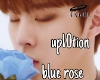 UP10TION  BLUE ROSE 10