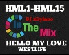 DJ Dyl Mix Hello My Love