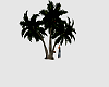 Tropical Passion Palm