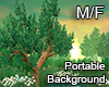 SPRING 2 BG M/F