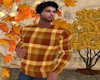 Fall Plaid Sweater (m)