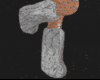 cross fur boots