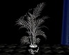 silver plants animated