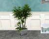 White Large Bonsai Tree