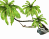 Coconut hammock