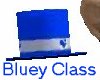 Bluey Class Set