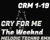 CRY FOR ME - Techno RMX
