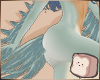 ⊹ Jay Feathers V5
