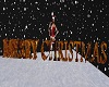 Merry Christmas 3D