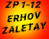 ERSHOV Zapletay ZP12