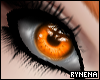 ® Prismatic eyes Orange