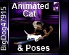 [BD]AnimatedCat&Poses