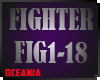 FIGHTER HARDCORE