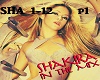 Shakira Megamix p1