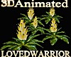 5 Animated Bromeliads 5